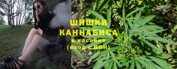 прущий лед Карпинск