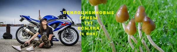 круглые Касимов
